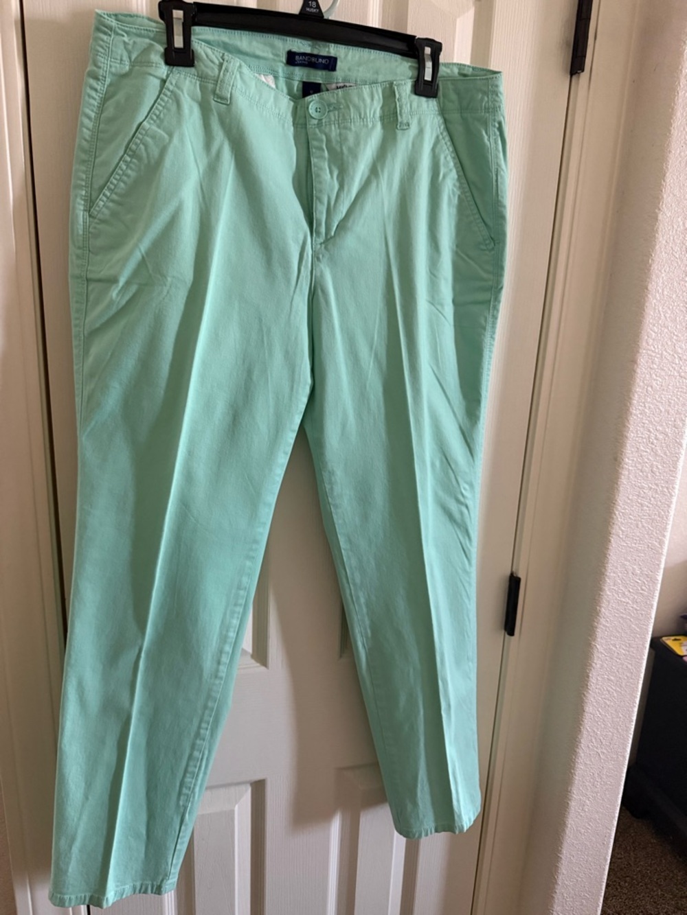 Bandolino Mint Green Women's Casual Pants